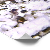 Grumpy Jawfish Poster (Ecke)