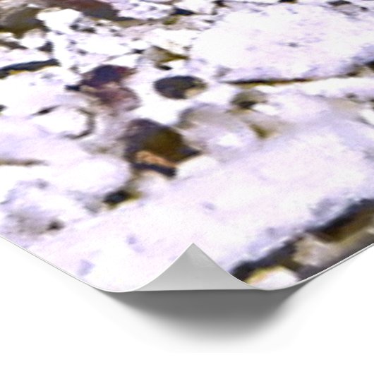 Grumpy Jawfish Poster (Ecke)