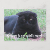 Grumpy-Karte Postkarte (Vorderseite)