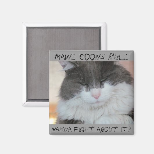 Grumpy Maine Coon Cat Magnet (Vorderseite/Rückseite)