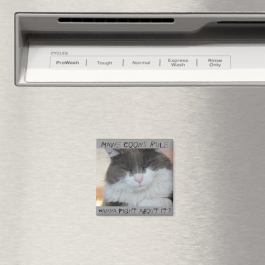 Grumpy Maine Coon Cat Magnet (In Situ (Geschirrspüler))