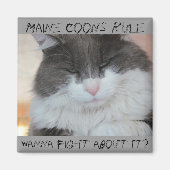 Grumpy Maine Coon Cat Magnet (Vorne)