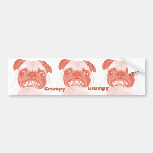 Grumpy Mops Times Three Autoaufkleber (Vorne)