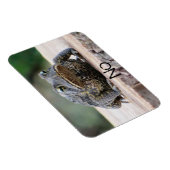 Grumpy Old Toad on Stump Magnet (Rechte Seite)