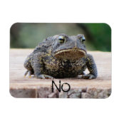 Grumpy Old Toad on Stump Magnet (Horizontal)