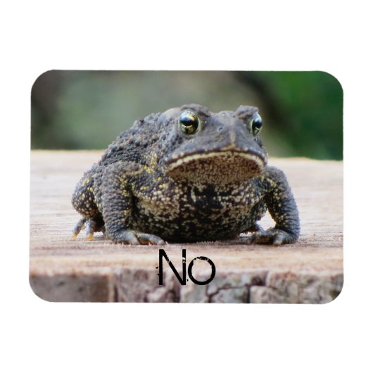 Grumpy Old Toad on Stump Magnet (Horizontal)
