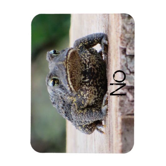 Grumpy Old Toad on Stump Magnet (Vertikal)