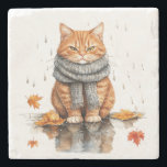 Grumpy Orange Cat in Rain Steinuntersetzer<br><div class="desc">Grumpy Orange Cat in Rain</div>