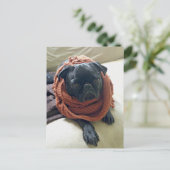 Grumpy Pug Postkarte (Stehend Vorderseite)