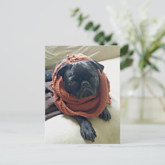 Grumpy Pug Postkarte (Stehend Vorderseite)