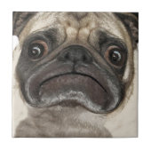 Grumpy Puggy Geschenke Fliese (Vorderseite)