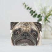 Grumpy Puggy Geschenke Postkarte (Stehend Vorderseite)