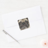 Grumpy Puggy Geschenke Quadratischer Aufkleber (Umschlag)