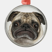 Grumpy Puggy Geschenke Silbernes Ornament (Vorne)