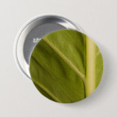 Grün 01 button (Vorne & Hinten)