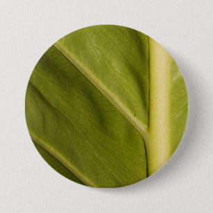 Grün 01 button