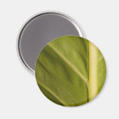 Grün 01 magnet (Vorderseite/Rückseite)