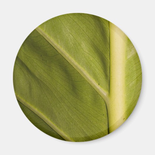 Grün 01 magnet (Vorne)