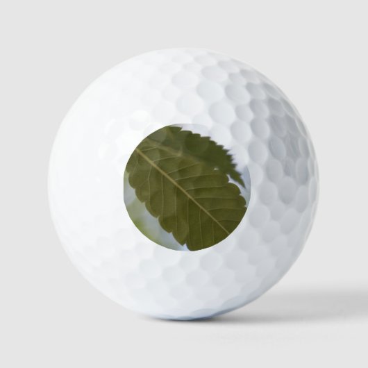 Grün-Blatt Garten-Fotokultur Golfball (Vorderseite)