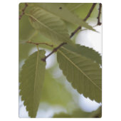 Grün-Blatt Garten-Fotokultur Klemmbrett (Rückseite)