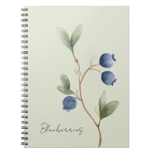 Grün Blaue Blaubeeren Obst   Notizblock