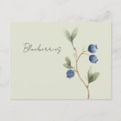 Grün Blaue Blaubeeren Obst   Postkarte (Vorderseite)