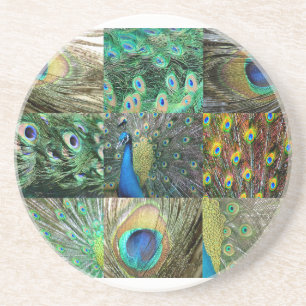 Grün-blaue Pfau-Fotocollage Sandstein Untersetzer