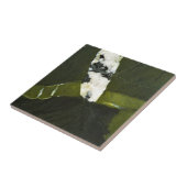 Grün Fliese (Seite)