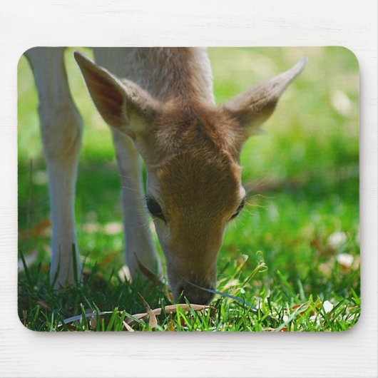 Grün für Deer Antelope Mousepad (Vorne)