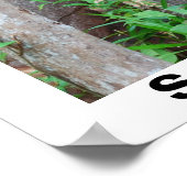 Grün für Regenwälder und Orangutane Poster (Ecke)