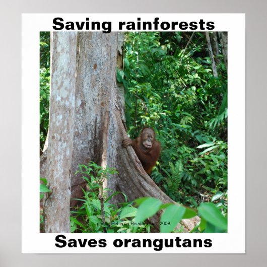 Grün für Regenwälder und Orangutane Poster (Vorne)