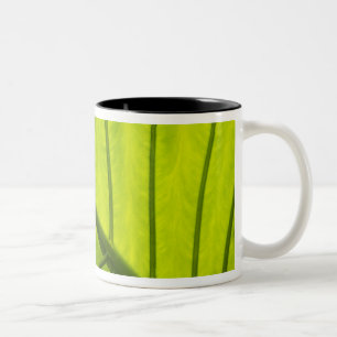 Grün geäderte Blätter tropischer Foliage in 2 Zweifarbige Tasse
