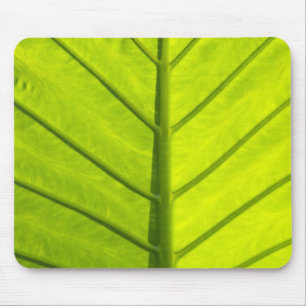 Grün geäderte Blätter tropischer Vegetation in Mousepad