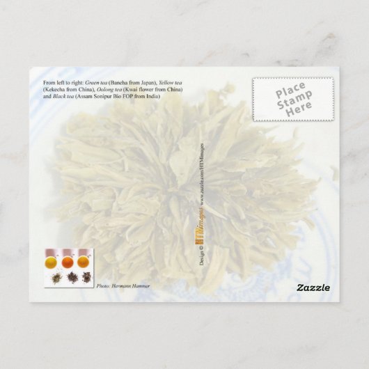Grün, Gelb, Oong und Schwarzer Tee Postkarte (Rückseite)