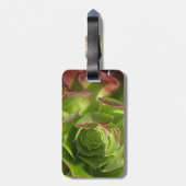 Grün Gepäckanhänger (Rückseite vertikal)