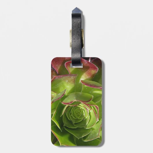 Grün Gepäckanhänger (Rückseite vertikal)