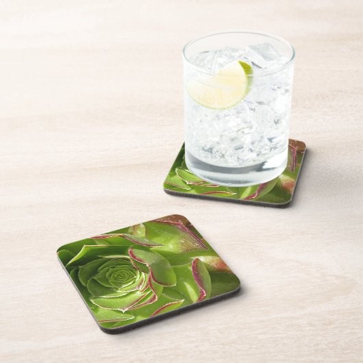 Grün Getränkeuntersetzer (Rechte Seite)