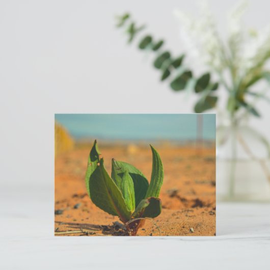 Grün in der Wüste Postkarte (Stehend Vorderseite)
