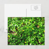 grün ist schön postkarte (Vorne/Hinten)