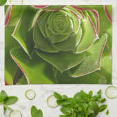 Grün Küchentuch (Gefaltet)