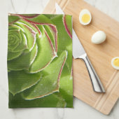 Grün Küchentuch (Viertel Falte)