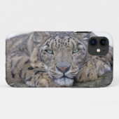 Grün-Mit Augen Anstarren iPhone 5 Case-Mate-Fall Case-Mate iPhone Hülle (Rückseite (Horizontal))