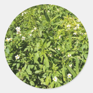 Grün mit Blume Runder Aufkleber