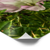 Grün mit rosa Morgenglanz und Blume Poster (Ecke)