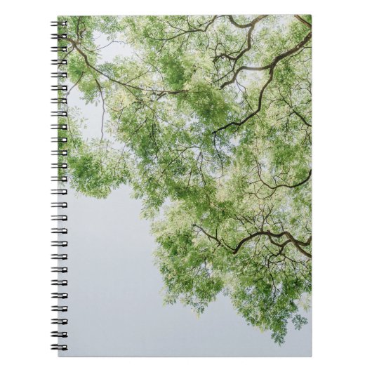 grün notizblock (Vorderseite)