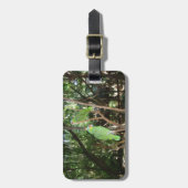 Grün plappert Gepäckanhänger nach (Vorderseite vertikal)