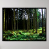 Grün Poster (Vorne)