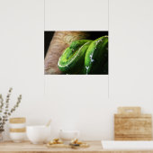 Grün Poster (Küche)