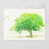 Grün Postkarte (Vorderseite)