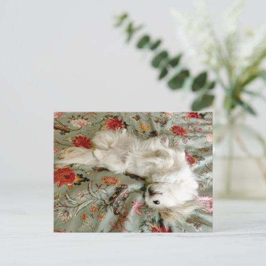 Grün Postkarte (Stehend Vorderseite)